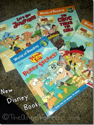 Jake and the Never Land Pirate Books