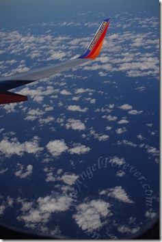 The wing of our plane