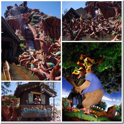 Views of Splash Mountain