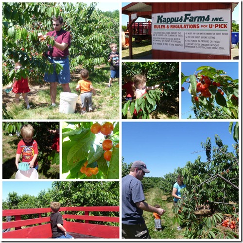 Cherry picking fun