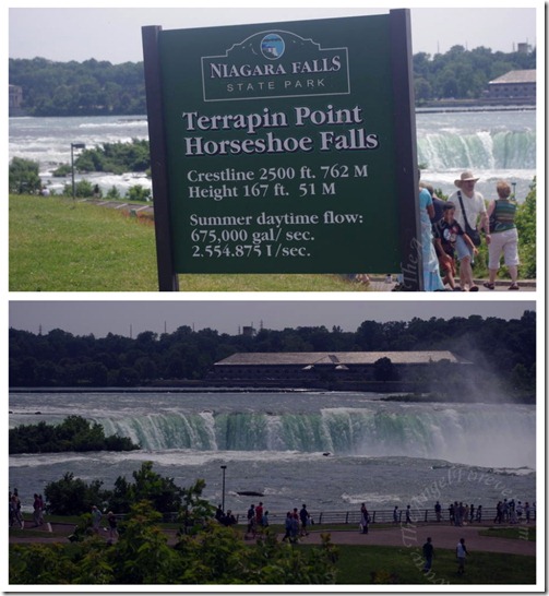 Horseshoe Falls