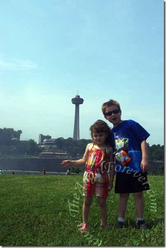 Fascinated With The Skylon Tower