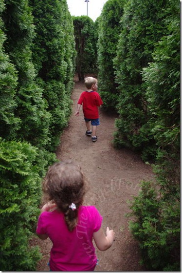 Hedge Maze Adventure