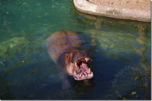 Check out his mouth Check out his mouth
