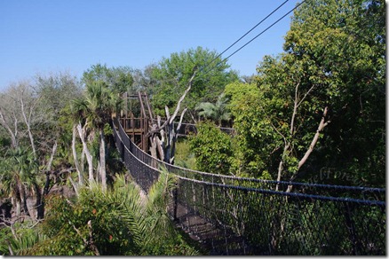 Double rope bridges