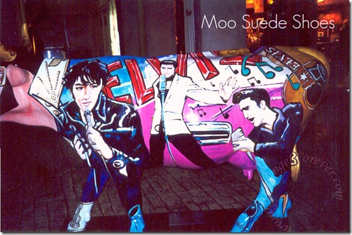 Moo Suede Shoes 2