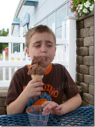 Brownie Batter Ice Cream Lunch