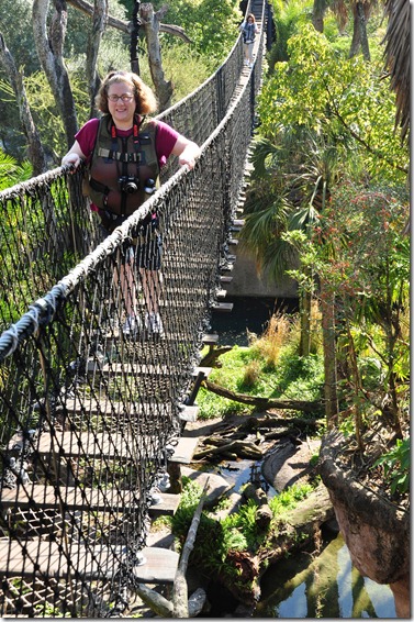 The First Bridge