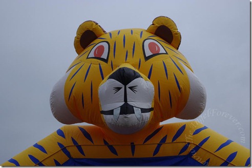 Saber Tooth Bounce House