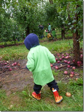 Done apple picking Done apple picking