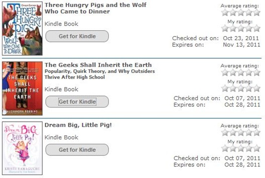 My Kindle Library Loans