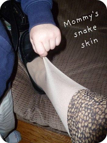 Stocking Skin Stocking Skin