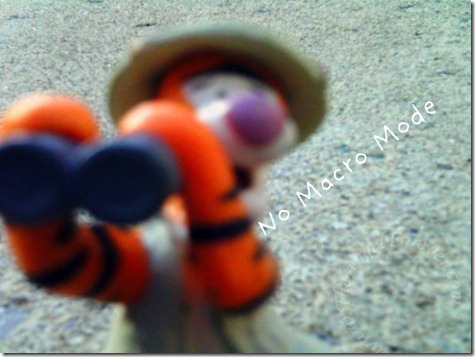 Tigger on Adventure