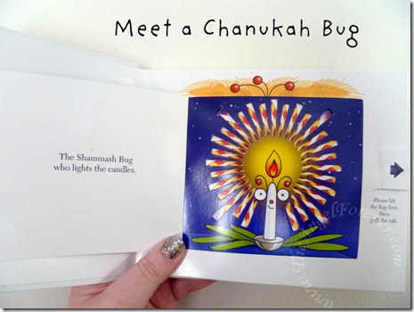 Hello Chanukah bug