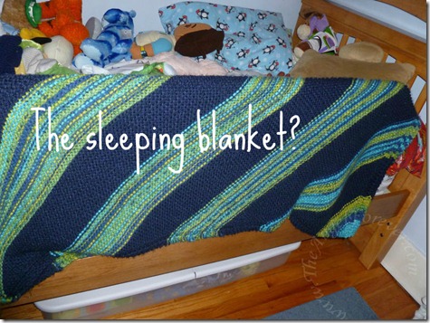Sleeping blanket perhaps Sleeping blanket perhaps