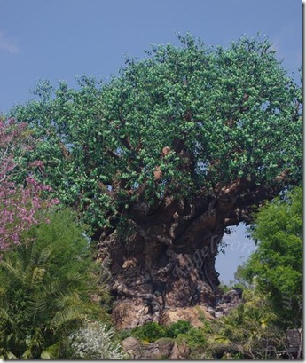 Hello Tree of Life