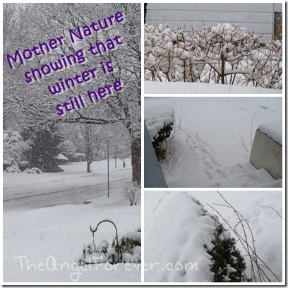 More from Mother Nature