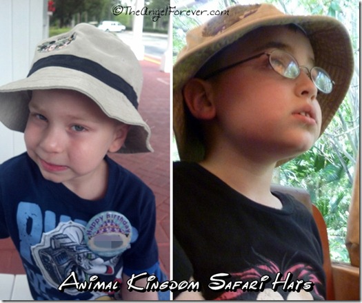 Animal Kingdom Safari Hats