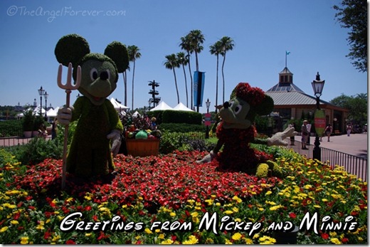 Mickey and Minnie at Epcot Flower and Garden Festival