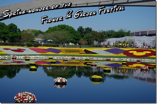 Water flowers at Epcot International Flower and Garden Festival