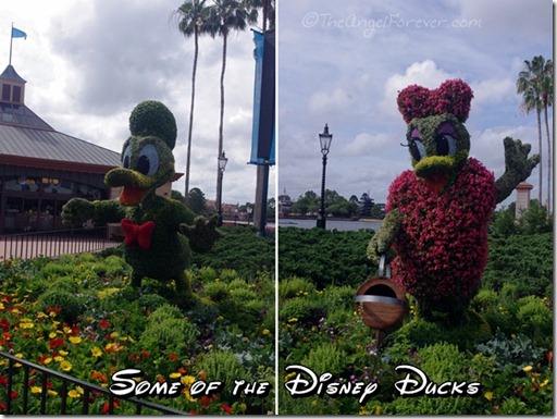 Donald and Daisy in Flowers