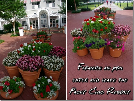 Flowers at Disney's Yacht Club Resort