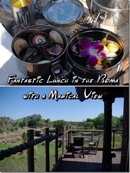 Lunch at the Boma in the African Savannah