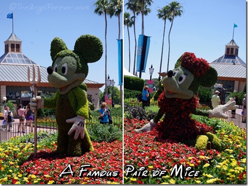 Mickey and Minnie in Flowers