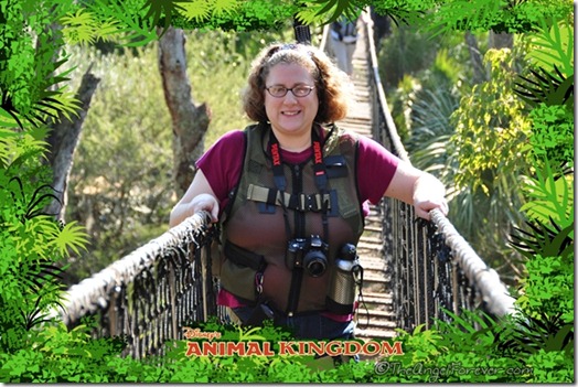 Rope Bride at Disney's Animal Kingdom