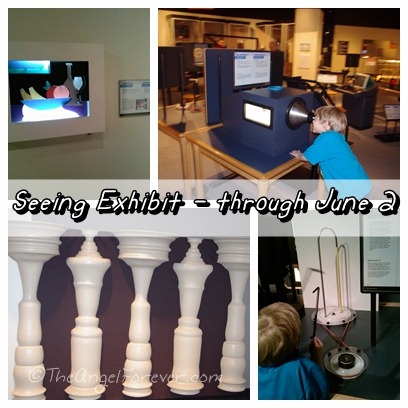 Seeing Exhibit at miSci Seeing Exhibit at miSci