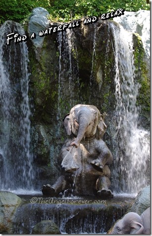 Jungle Cruise at the Magic Kingdom