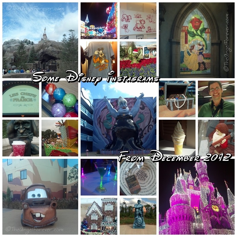 Disney Instagrams Collage from New Fantasyland Celebration