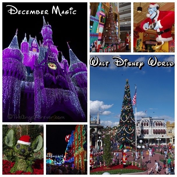 December at Walt Disney World