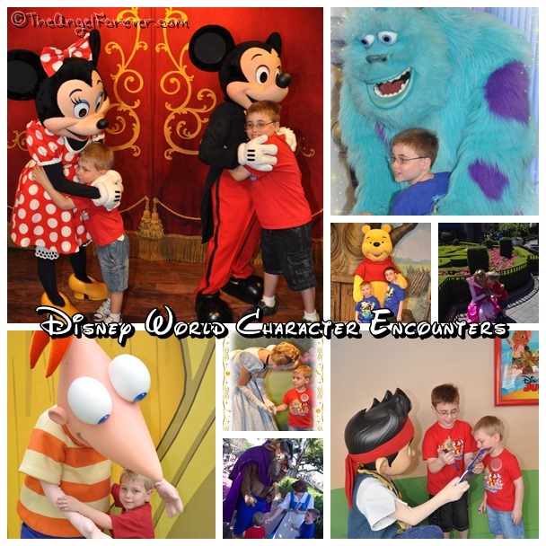 Disney World Character Encounters