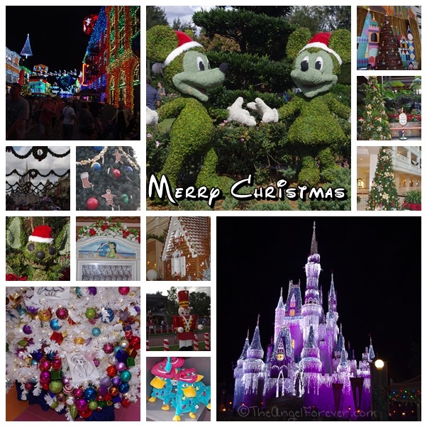 Walt Disney World at Christmas Time