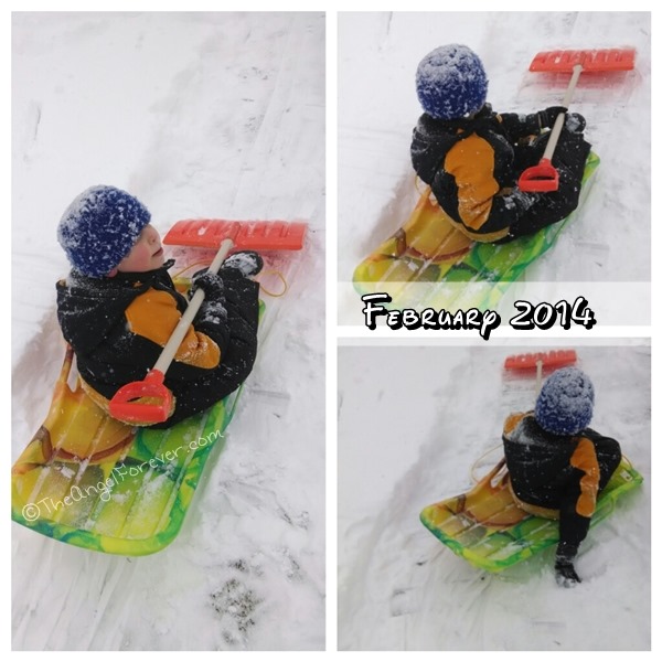 February 2014 sled fun