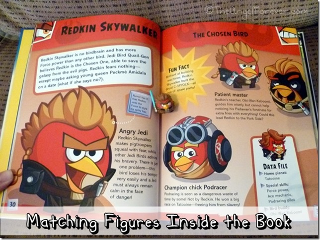 Inside Angry Birds Star Wars Character Encyclopedia