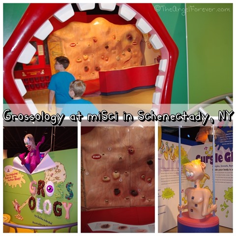 Going into Grossology at miSci NY