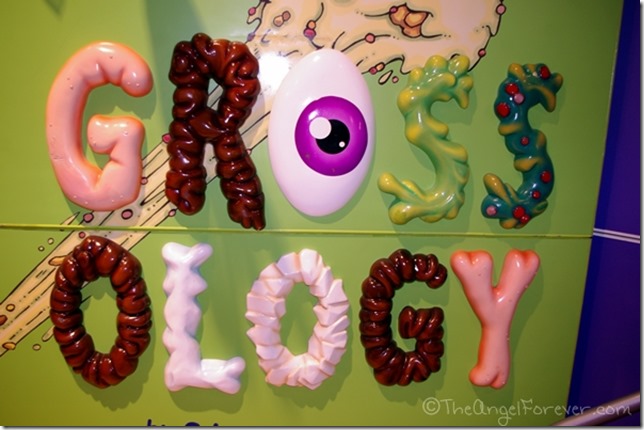 Grossology