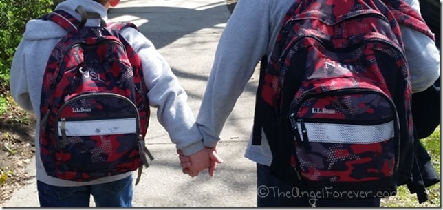 Brothers Holding Hands after School