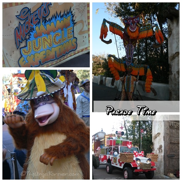 Parade at Disney's Animal Kingdom