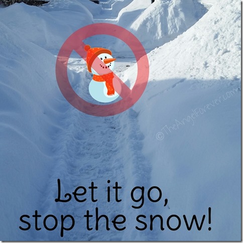 Let it go, stop the snow