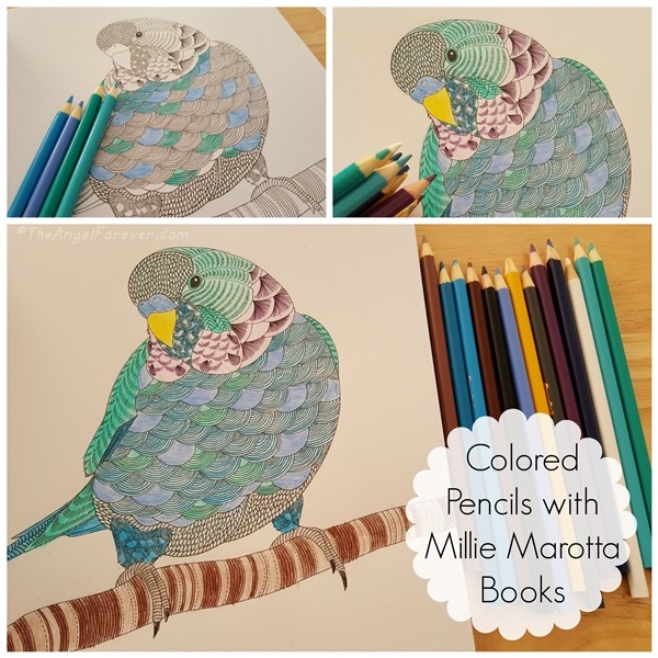 https://www.theangelforever.com/wp-content/uploads/2015/12/Colored-Pencils-with-Millie-Marotta-Books.jpg