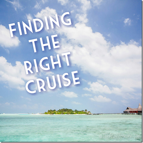 Finding the Right Cruise