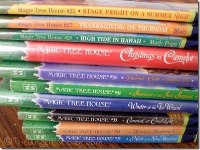 Some Magic Tree House Books