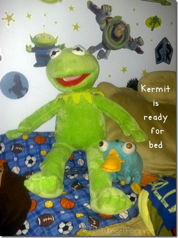 Kermit the Frog at Home