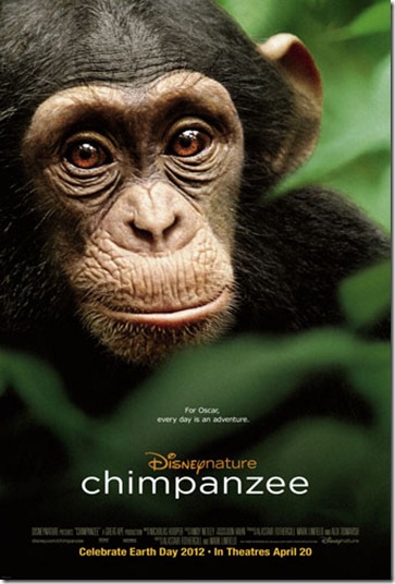 Chimpanzee