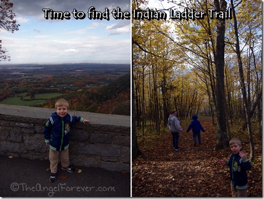 Thatcher Park looking for Indian Ladder Trail