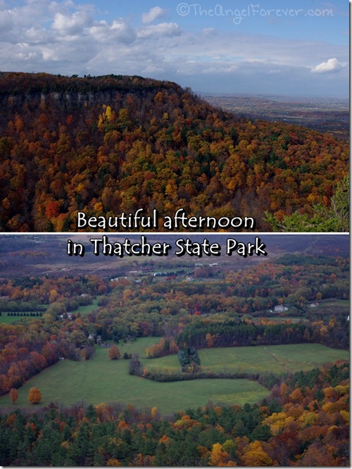 Thatcher State Park in the Helderbergs of NY