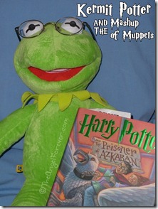 Harry Potter and Kermit the Frog meet